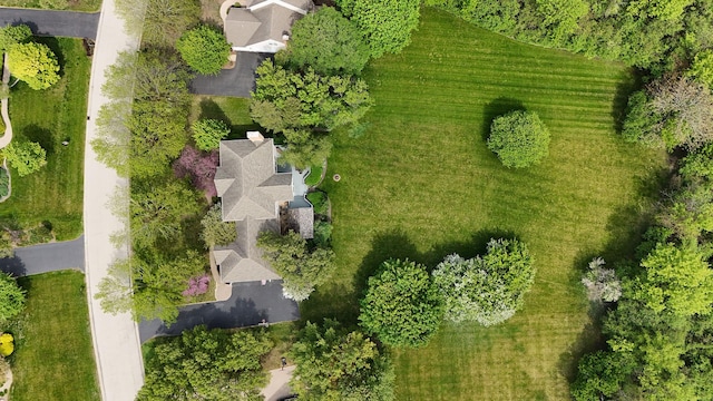 36708 Old Woods Trl, Gurnee, IL 60031 - drone / aerial view