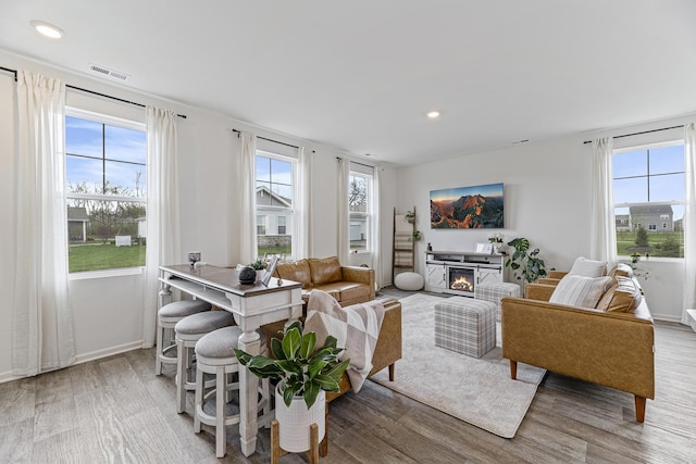 1187 Sonoma Ct, Pingree Grove, IL 60140 - living area with wood finished floors, recessed lighting, a lit fireplace, and baseboards
