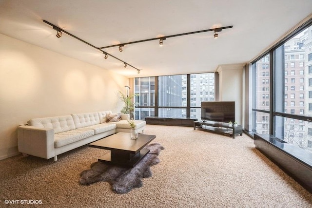 living room with track lighting, carpet flooring, and expansive windows