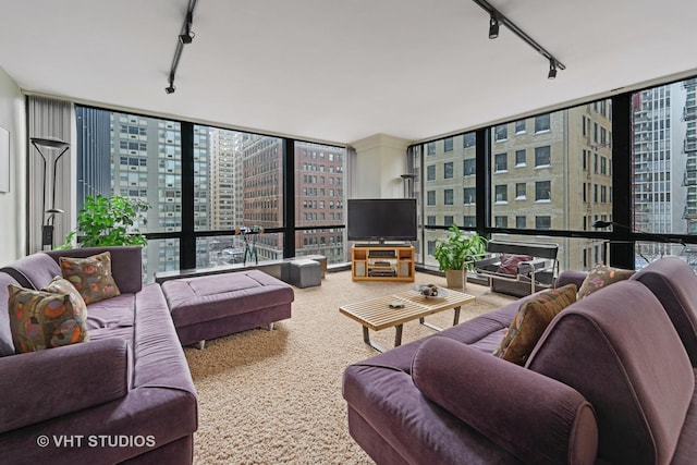 living room featuring track lighting, carpet floors, a wall of windows, and plenty of natural light