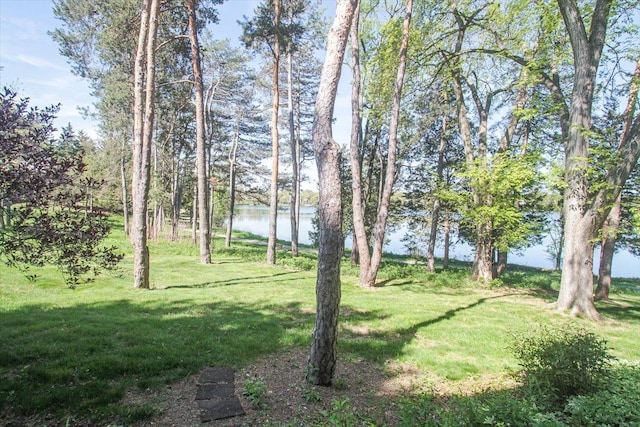 view of grassy yard featuring a water view