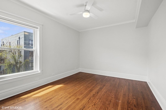731 W Buckingham Pl Unit 12, Chicago, IL 60657 - unfurnished room featuring wood finished floors, healthy amount of natural light, baseboards, a ceiling fan, and ornamental molding