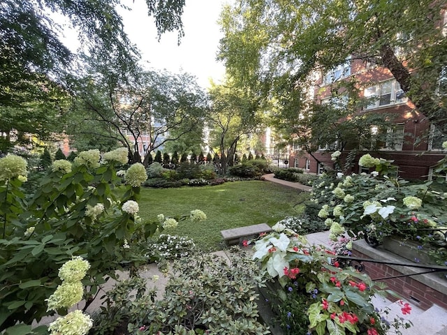 731 W Buckingham Pl Unit 12, Chicago, IL 60657 - view of grassy yard