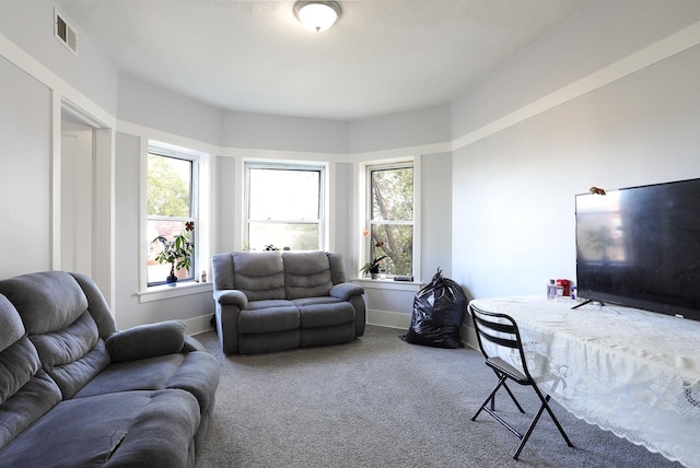 1002 N Drake Ave, Chicago, IL 60651 - living area featuring carpet, plenty of natural light, and baseboards