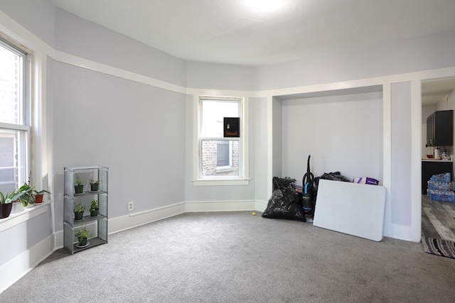 1002 N Drake Ave, Chicago, IL 60651 - interior space featuring carpet and baseboards