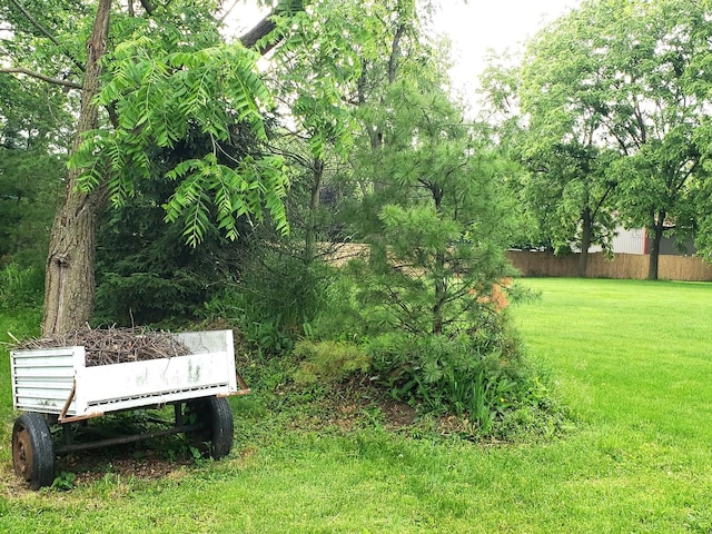517 S Hebbard St, Joliet, IL 60433 - view of yard