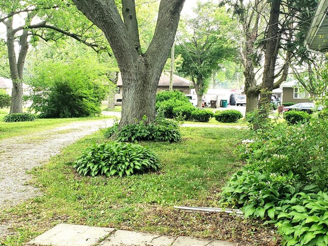 517 S Hebbard St, Joliet, IL 60433 - view of yard
