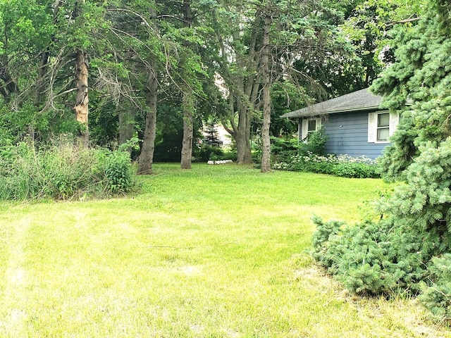 517 S Hebbard St, Joliet, IL 60433 - view of grassy yard