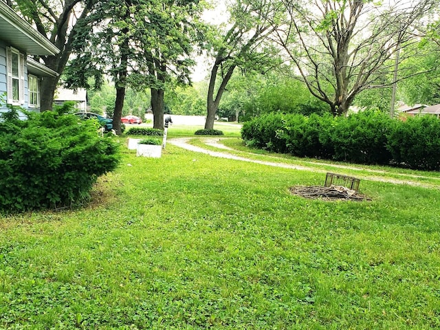 517 S Hebbard St, Joliet, IL 60433 - view of grassy yard