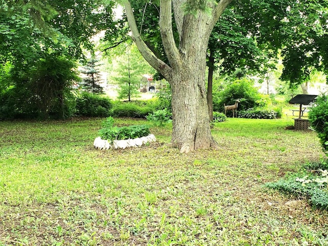 517 S Hebbard St, Joliet, IL 60433 - view of grassy yard