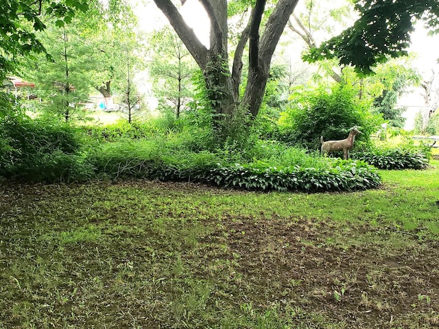 517 S Hebbard St, Joliet, IL 60433 - view of yard