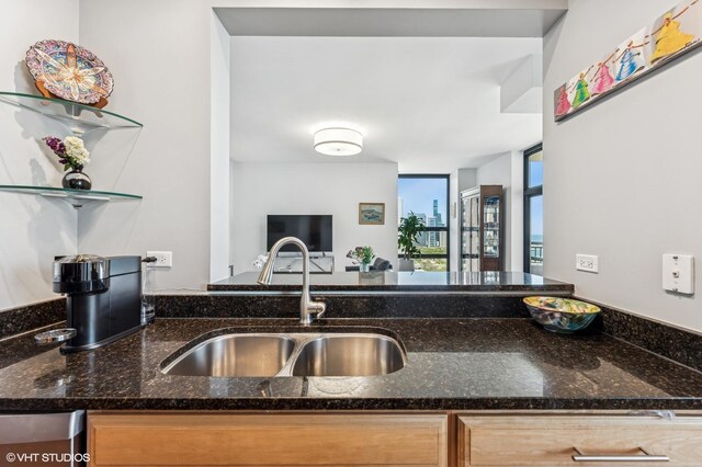 1160 S Michigan Ave Unit 3805, Chicago, IL 60605 - kitchen with a sink, open shelves, and dark stone counters