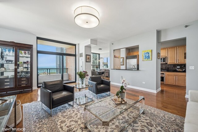 1160 S Michigan Ave Unit 3805, Chicago, IL 60605 - living room featuring wood finished floors and baseboards