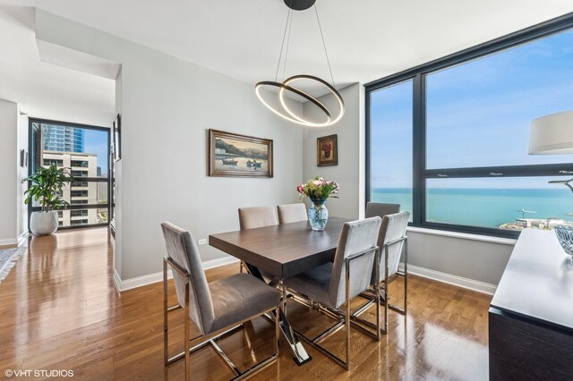 1160 S Michigan Ave Unit 3805, Chicago, IL 60605 - dining area featuring wood finished floors, baseboards, healthy amount of natural light, a chandelier, and floor to ceiling windows