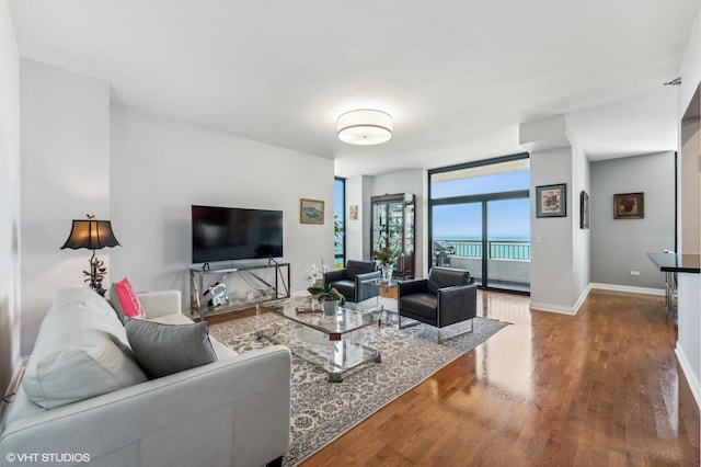 1160 S Michigan Ave Unit 3805, Chicago, IL 60605 - living area featuring wood finished floors, a wall of windows, and baseboards