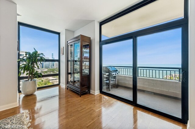 1160 S Michigan Ave Unit 3805, Chicago, IL 60605 - doorway to outside with a wall of windows, wood finished floors, a water view, and baseboards