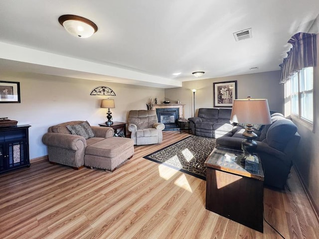 2919 193rd St, Lansing, IL 60438 - living room with light wood-style floors, a glass covered fireplace, and baseboards