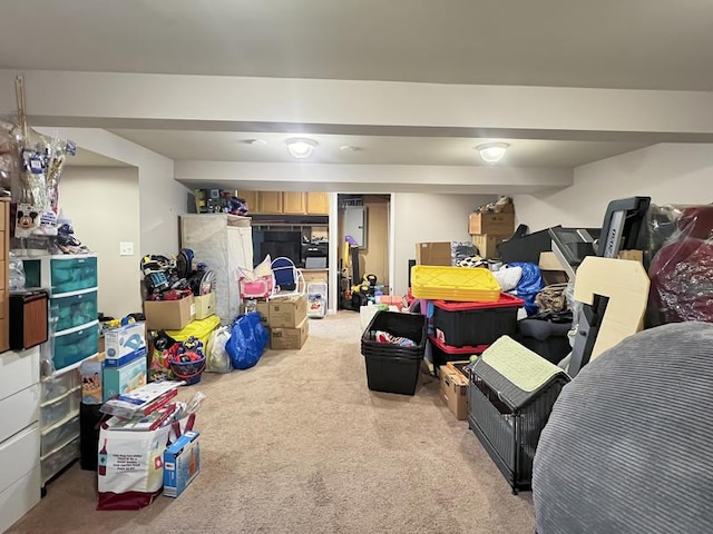 2919 193rd St, Lansing, IL 60438 - view of storage