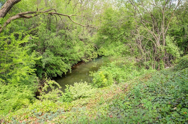 view of wooded area
