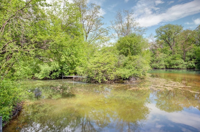 water view with a forest