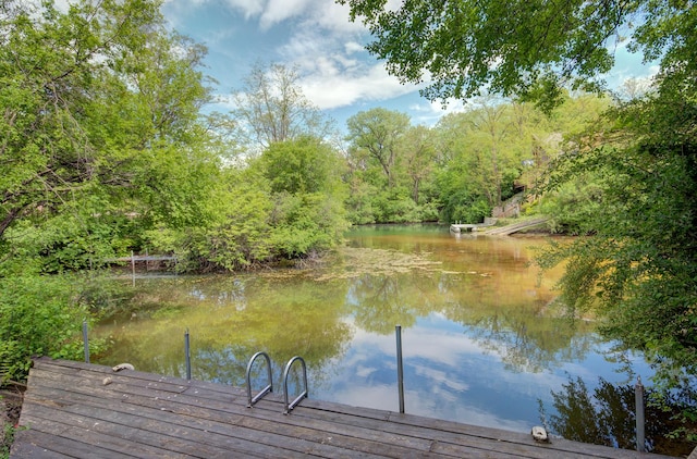 dock with a water view