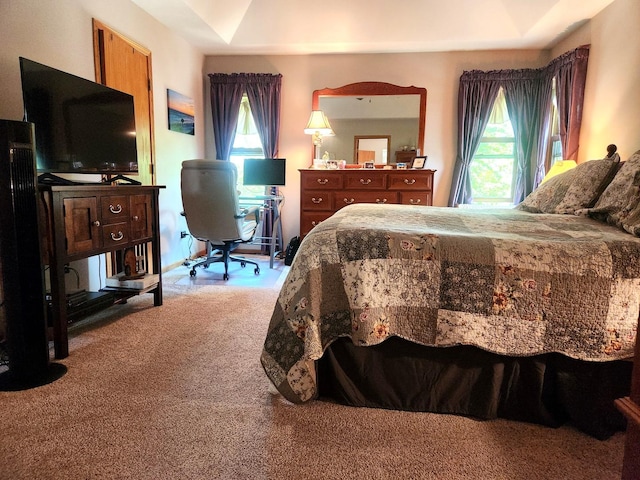 19629 Fiona Ave, Mokena, IL 60448 - carpeted bedroom with an office area
