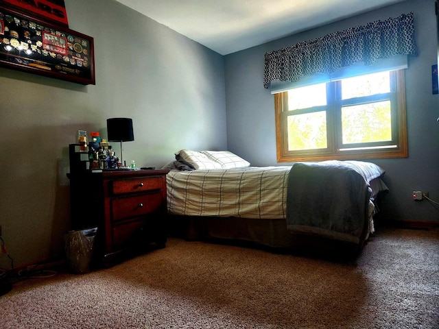 19629 Fiona Ave, Mokena, IL 60448 - view of carpeted bedroom