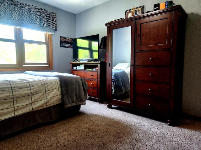 19629 Fiona Ave, Mokena, IL 60448 - bedroom with light carpet