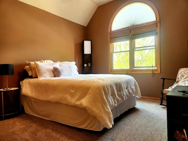 19629 Fiona Ave, Mokena, IL 60448 - carpeted bedroom featuring vaulted ceiling and baseboards