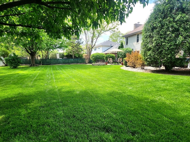 19629 Fiona Ave, Mokena, IL 60448 - view of yard