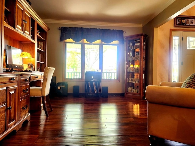 19629 Fiona Ave, Mokena, IL 60448 - office space with crown molding, dark wood-type flooring, and baseboards