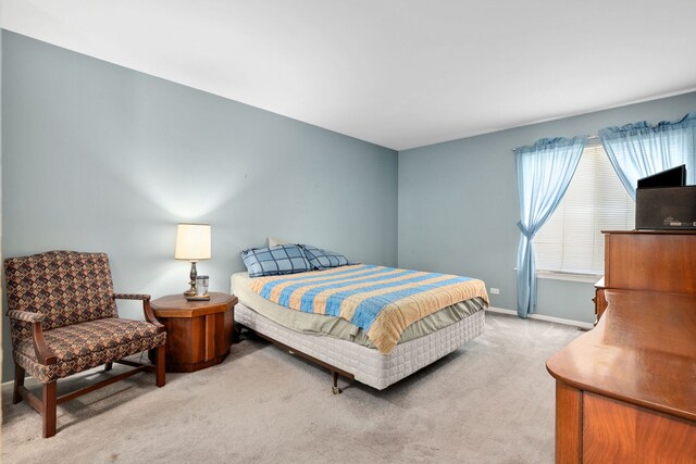 35 Buckingham Ln, Buffalo Grove, IL 60089 - bedroom with light colored carpet and baseboards
