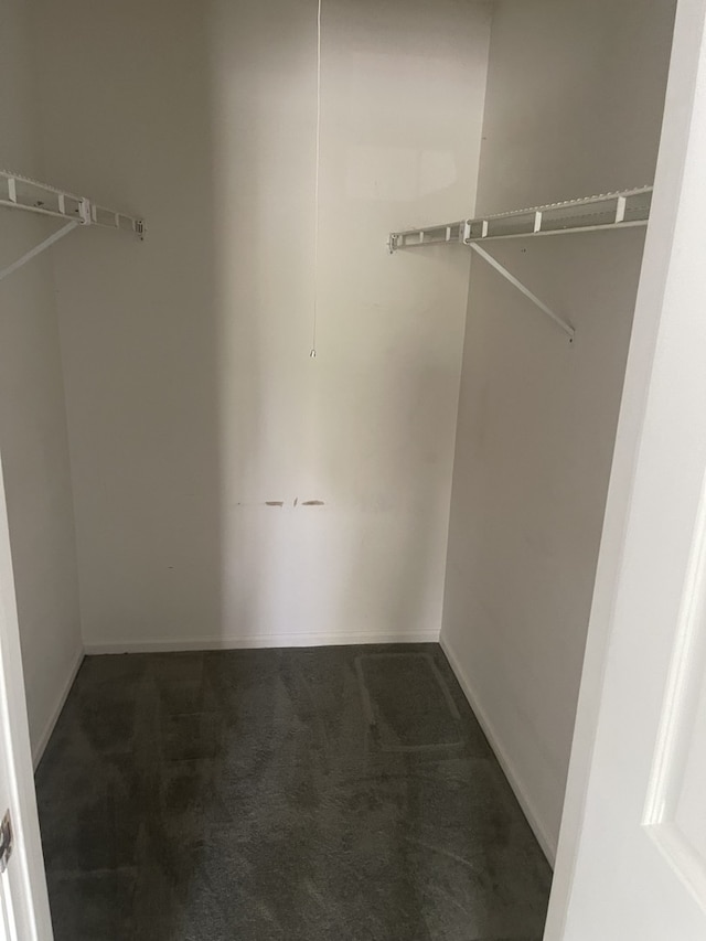 walk in closet featuring carpet floors