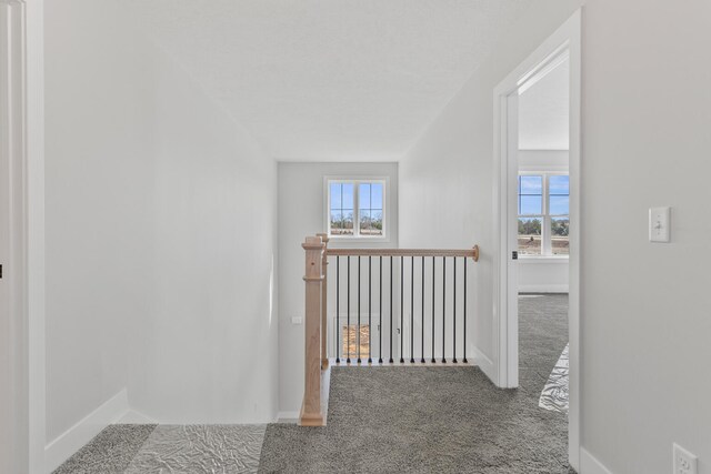 12 Meadow Dr, Monticello, IL 61856 - photo 25