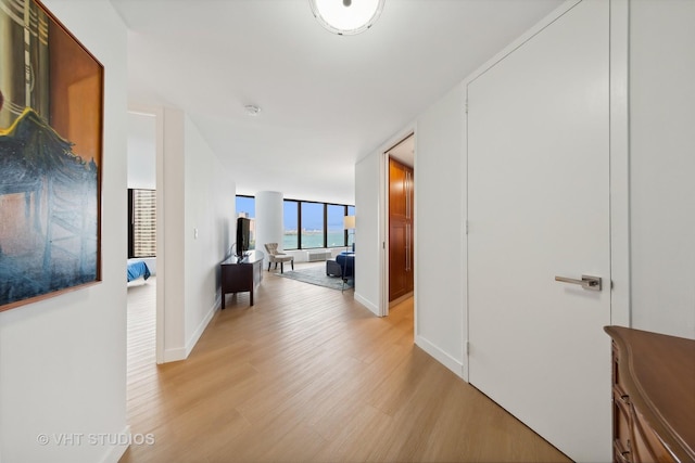 hall featuring light wood finished floors, baseboards, and a wall of windows