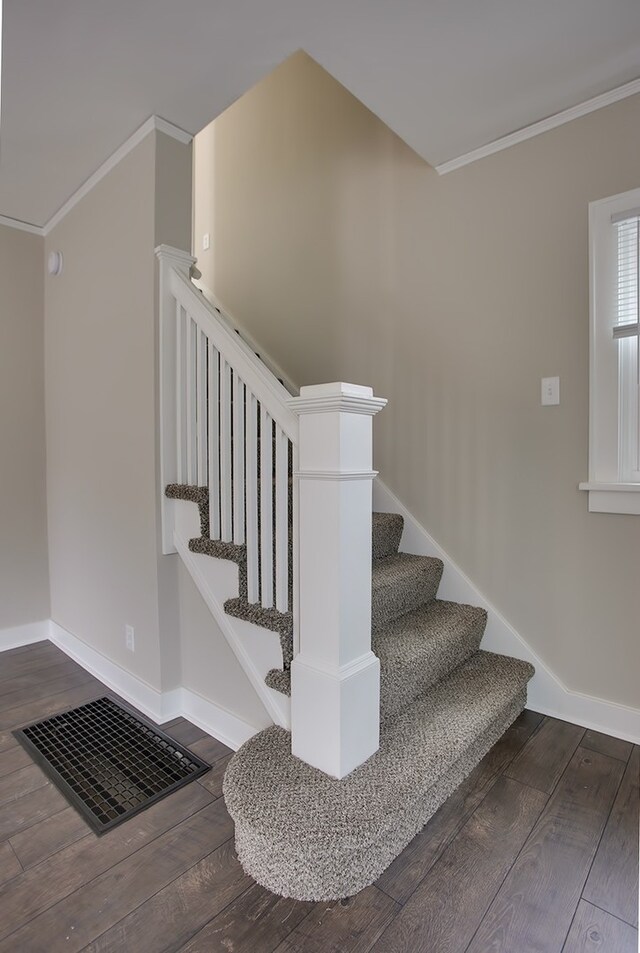 202 W Florida Ave, Urbana, IL 61801 - photo 10