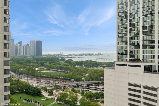 1250 S Michigan Ave Unit 2203, Chicago, IL 60605 - city view with a large body of water