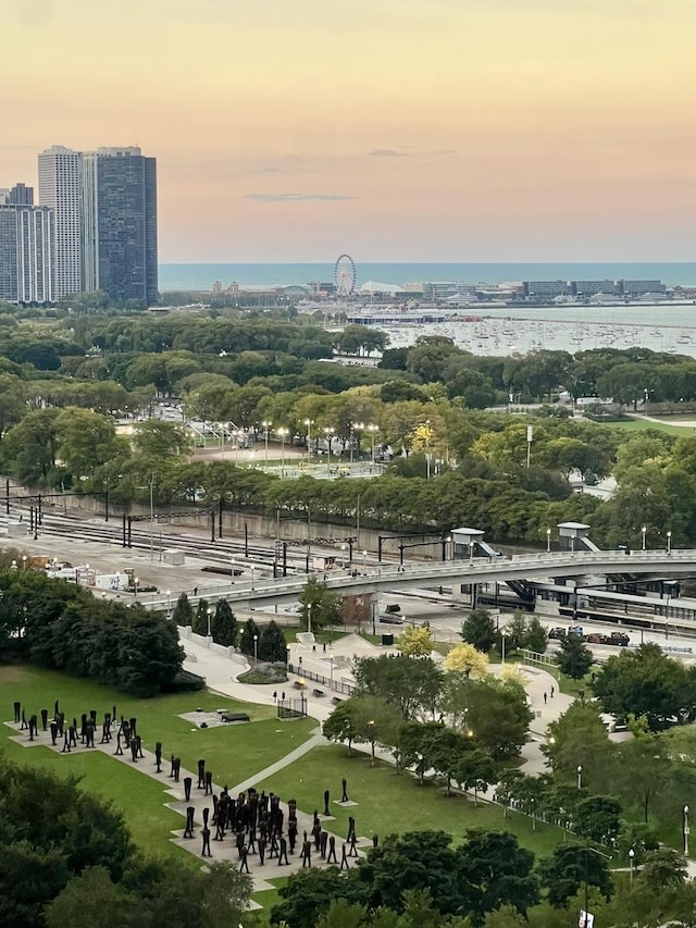 1250 S Michigan Ave Unit 2203, Chicago, IL 60605 - view of property's community featuring a view of city, a water view, and view of scattered trees