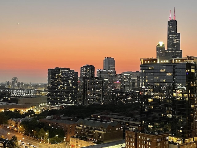 1250 S Michigan Ave Unit 2203, Chicago, IL 60605 - skyline view