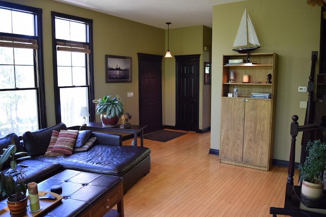 133 S Grove Ave, Elgin, IL 60120 - living room featuring light wood finished floors