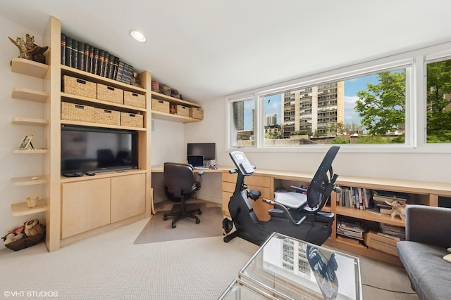58 W Schiller St, Chicago, IL 60610 - office space with carpet flooring, vaulted ceiling, and recessed lighting