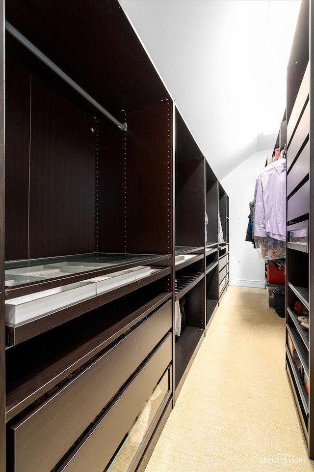 6590 Beech Ln, Libertyville, IL 60048 - walk in closet with light colored carpet and lofted ceiling
