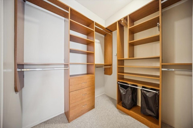 811 S Lytle St Unit 101, Chicago, IL 60607 - walk in closet featuring carpet floors