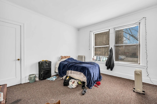 1347 E Hyde Park Blvd, Chicago, IL 60615 - carpeted bedroom featuring crown molding and radiator