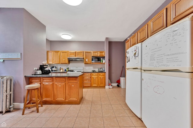 1347 E Hyde Park Blvd, Chicago, IL 60615 - kitchen with freestanding refrigerator, under cabinet range hood, range, radiator, and dark countertops