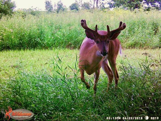 1800 E Grinter Rd, Mazon, IL 60444