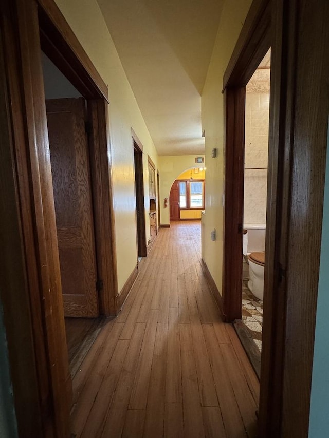 2439 S 57th Ave, Cicero, IL 60804 - hall featuring light wood-type flooring and arched walkways
