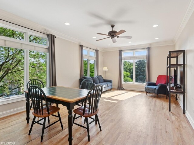 301 Brownstone Dr, Saint Charles, IL 60174 - dining room with baseboards, ceiling fan, light wood-type flooring, crown molding, and recessed lighting