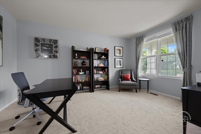 729 Hamilton Dr, South Elgin, IL 60177 - office space with carpet flooring and baseboards