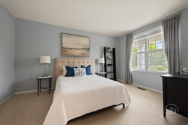 729 Hamilton Dr, South Elgin, IL 60177 - bedroom with carpet floors